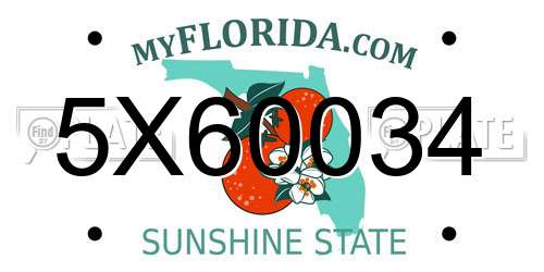 5X60034 Florida License Plate