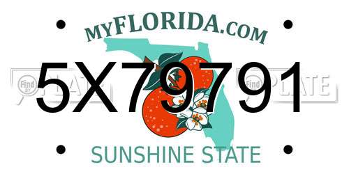 5X79791 Florida License Plate