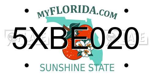 5XBE020 Florida License Plate
