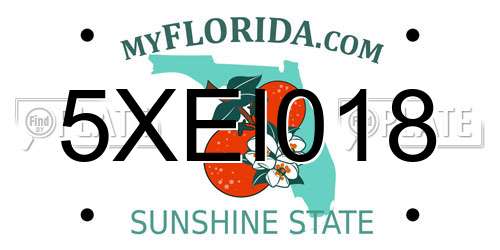 5XEI018 Florida License Plate