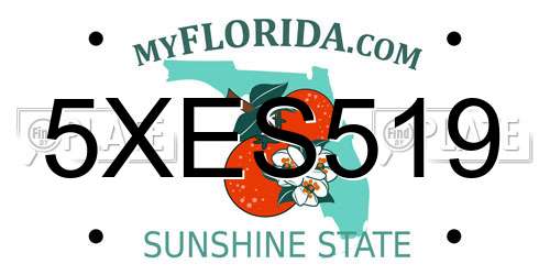 5XES519 Florida License Plate
