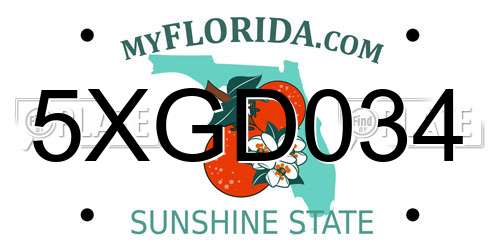 5XGD034 Florida License Plate