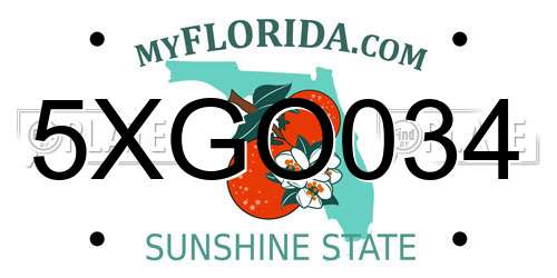 5XGO034 Florida License Plate