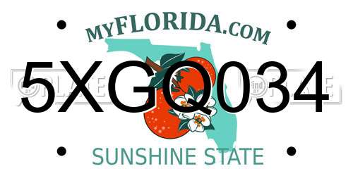 5XGQ034 Florida License Plate