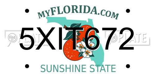 5XIT672 Florida License Plate