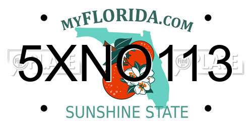 5XNO113 Florida License Plate