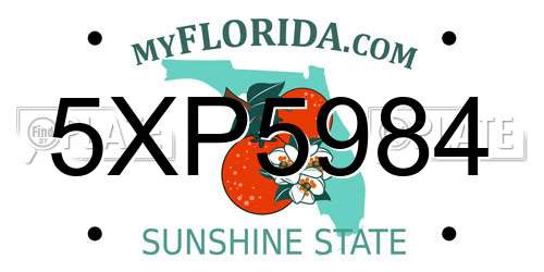 5XP5984 Florida License Plate