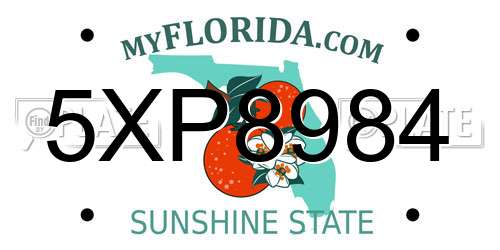 5XP8984 Florida License Plate