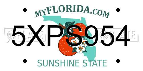 5XPS954 Florida License Plate