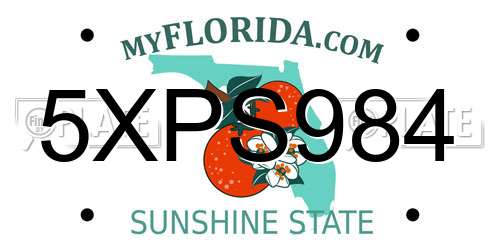 5XPS984 Florida License Plate