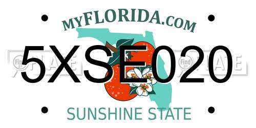 5XSE020 Florida License Plate