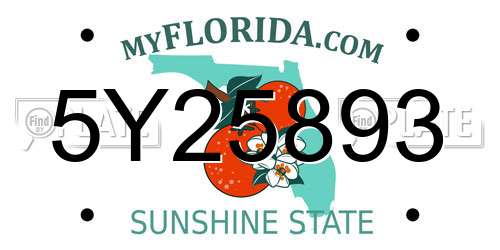 5Y25893 Florida License Plate