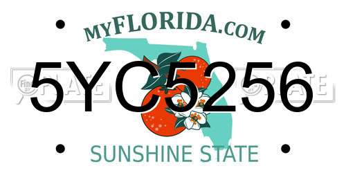 5YC5256 Florida License Plate