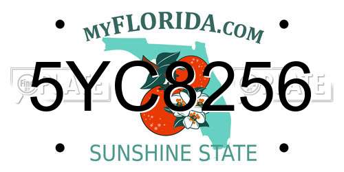 5YC8256 Florida License Plate