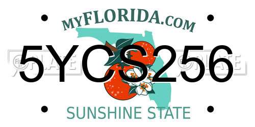 5YCS256 Florida License Plate
