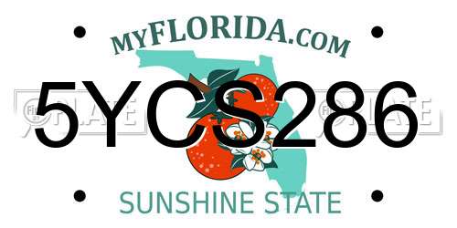 5YCS286 Florida License Plate