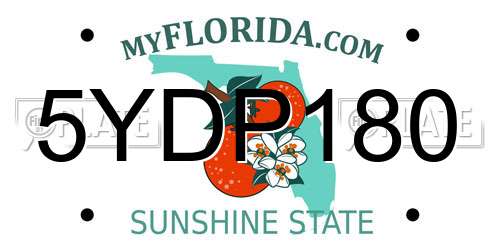 5YDP180 Florida License Plate