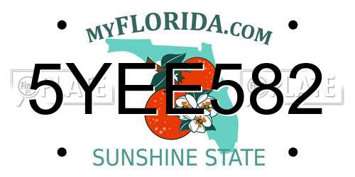 5YEE582 Florida License Plate