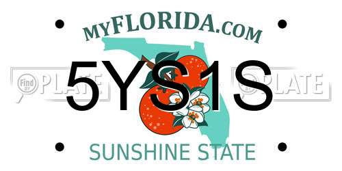 5YS1S Florida License Plate