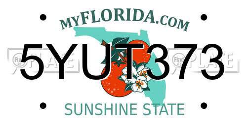 5YUT373 Florida License Plate