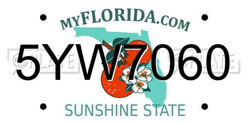 5YW7060 Florida License Plate