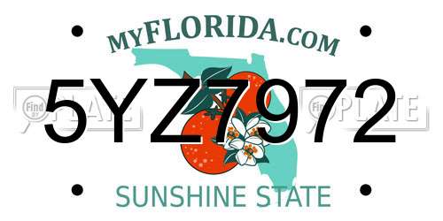 5YZ7972 Florida License Plate
