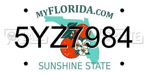 5YZ7984 Florida License Plate