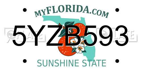 5YZB593 Florida License Plate