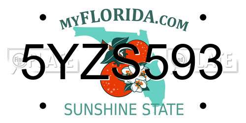 5YZS593 Florida License Plate