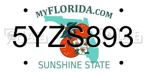 5YZS893 Florida License Plate