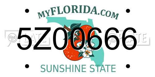 5Z00666 Florida License Plate