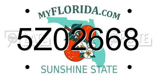5Z02668 Florida License Plate