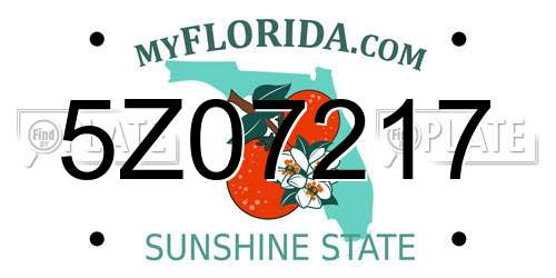 5Z07217 Florida License Plate