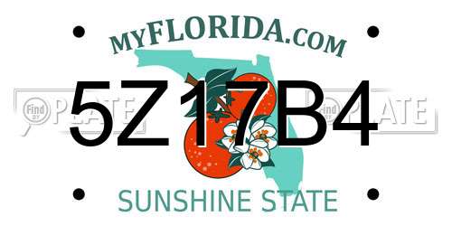 5Z17B4 Florida License Plate