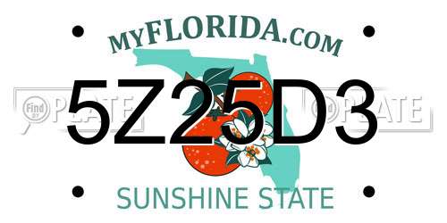 5Z25D3 Florida License Plate