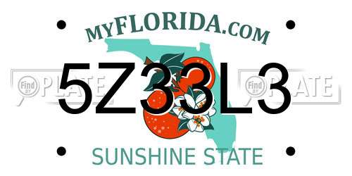5Z33L3 Florida License Plate
