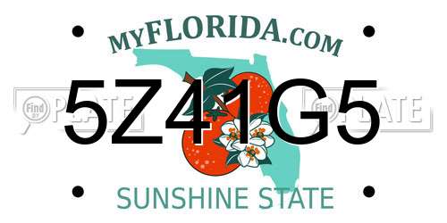 5Z41G5 Florida License Plate