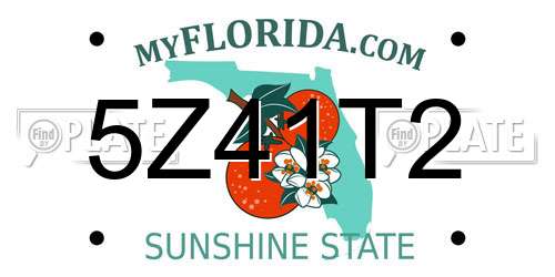5Z41T2 Florida License Plate