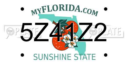 5Z41Z2 Florida License Plate