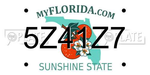 5Z41Z7 Florida License Plate