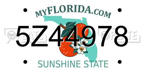 5Z44978 Florida License Plate