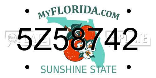 5Z58742 Florida License Plate