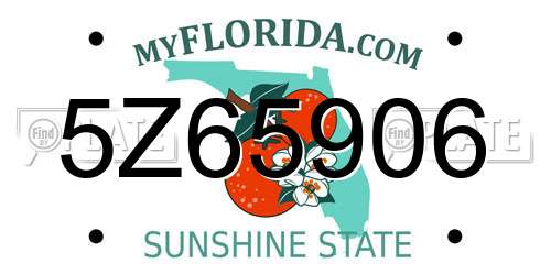 5Z65906 Florida License Plate
