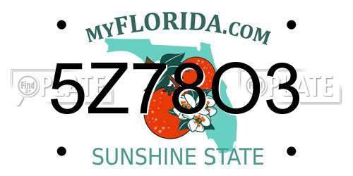 5Z78O3 Florida License Plate