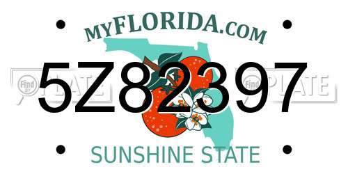 5Z82397 Florida License Plate