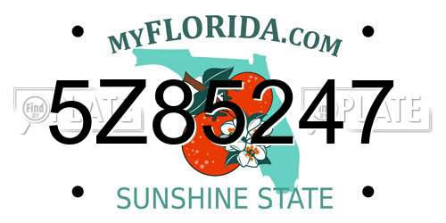 5Z85247 Florida License Plate