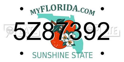 5Z87392 Florida License Plate