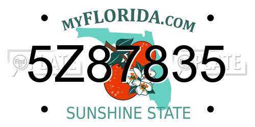 5Z87835 Florida License Plate