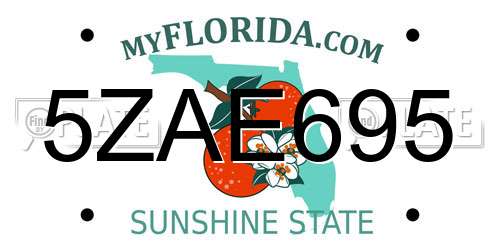 5ZAE695 Florida License Plate