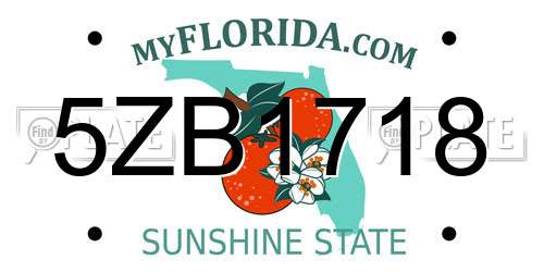 5ZB1718 Florida License Plate